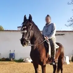 Nisa, 31